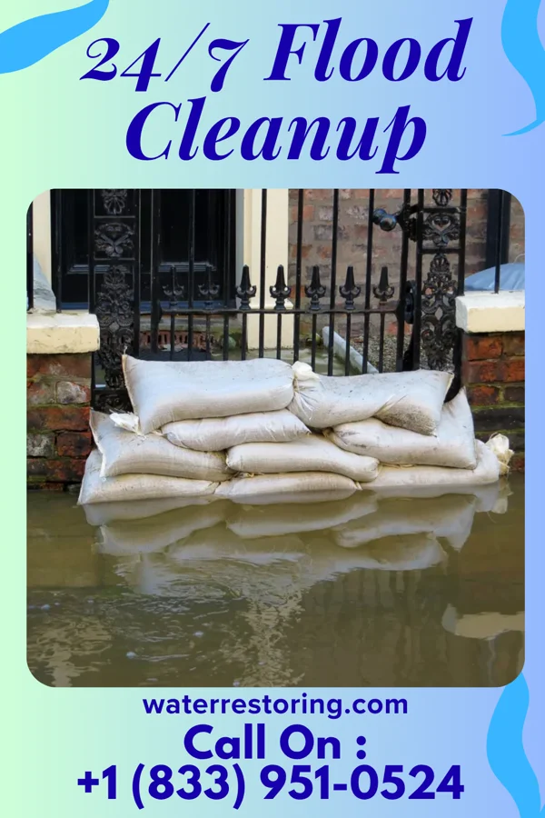 24/7 Flood Cleanup in Sea Cliff, NY