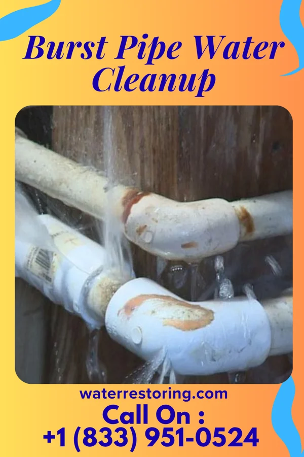 Burst Pipe Water Cleanup in Sea Cliff, NY