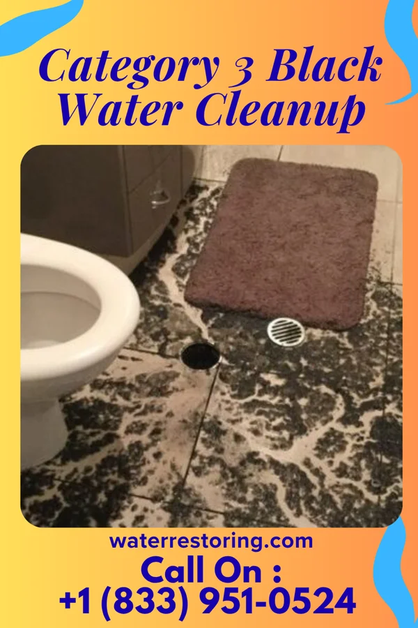 Category 3 Black Water Cleanup in Sea Cliff, NY