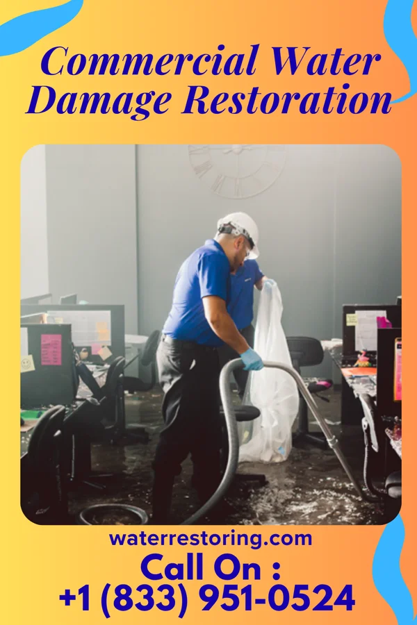 Commercial Water Damage Restoration in Sea Cliff, NY