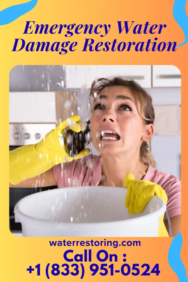 Emergency Water Damage Restoration in Sea Cliff, NY