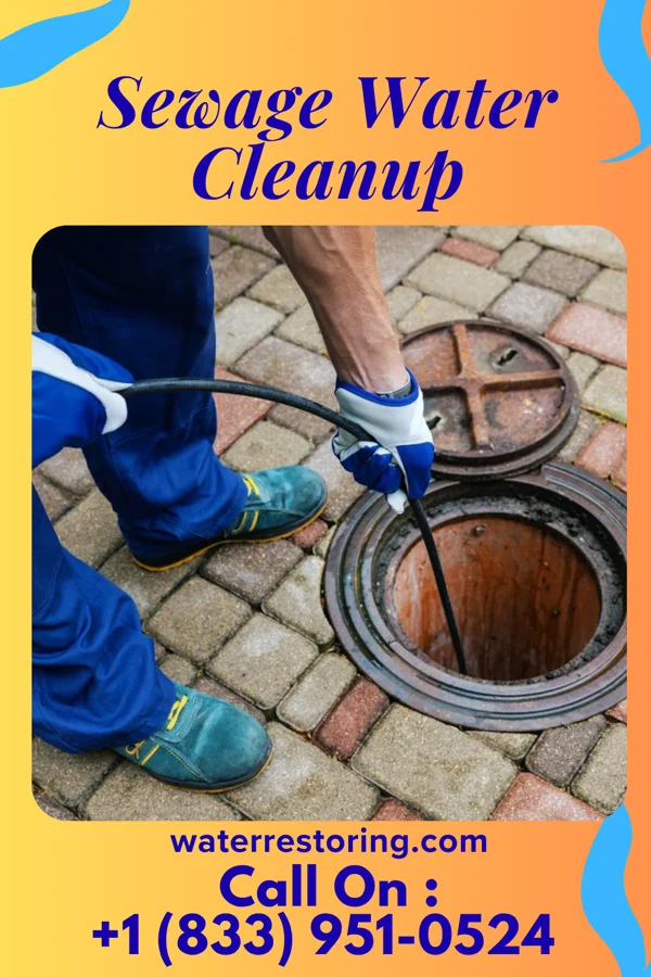 Sewage Water Cleanup in Sea Cliff, NY